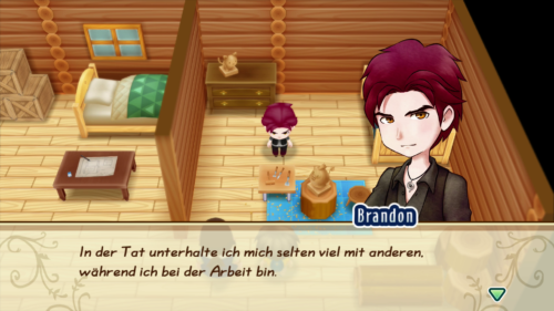 STORY OF SEASONS: Friends of Mineral Town